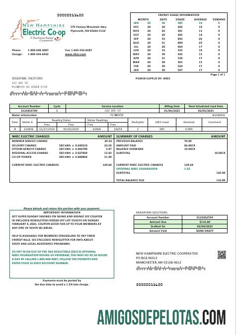 Em branco modelo de conta de serviços públicos de eletricidade da USA New Hampshire Electric Co Op em formatos Word e PDF